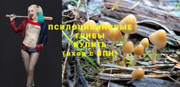 ПСИЛОЦИБИНОВЫЕ ГРИБЫ Аркадак