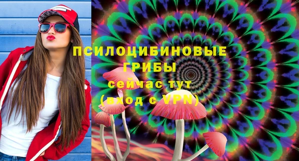 ПСИЛОЦИБИНОВЫЕ ГРИБЫ Аркадак
