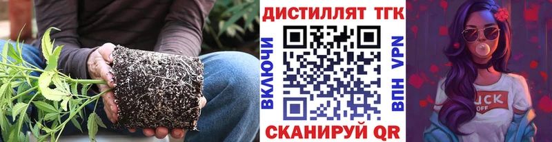 ТГК THC oil площадка наркотические препараты Дорогобуж