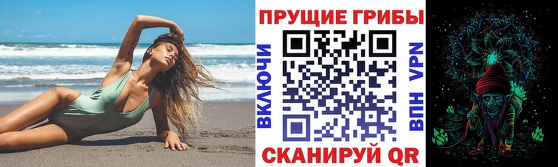 Псилоцибиновые грибы Cubensis  Дорогобуж 
